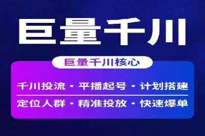 百度竞价排名案例分析：提升网站流量与转化率